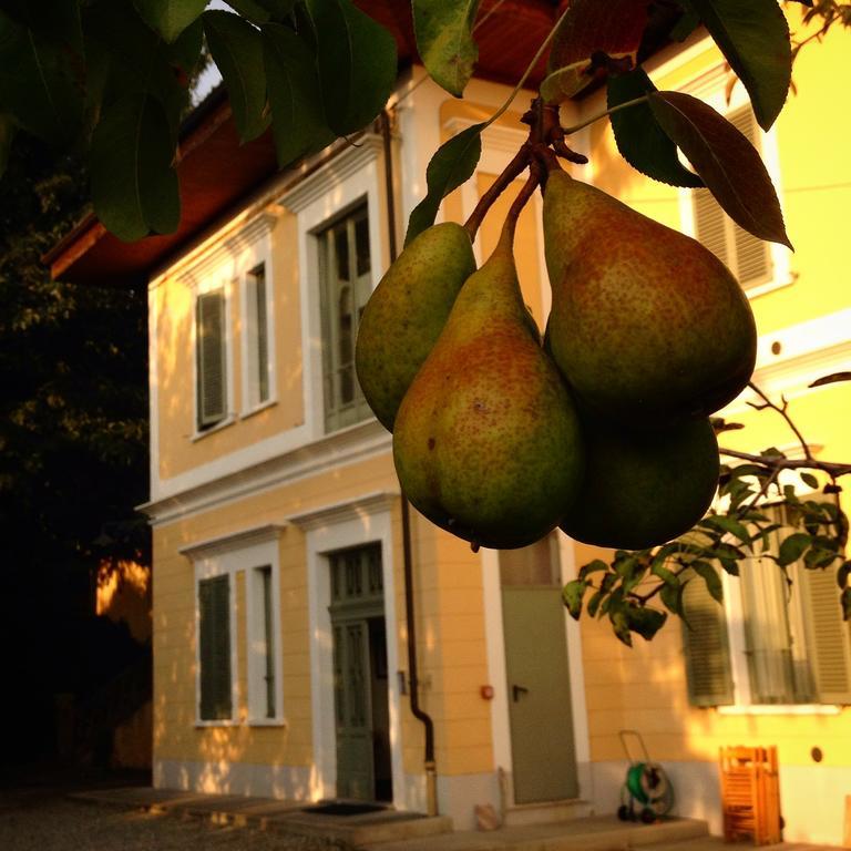 Villa D'Azeglio Albiano D'Ivrea Luaran gambar